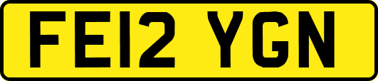 FE12YGN