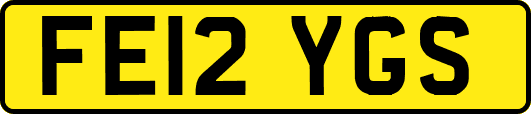 FE12YGS