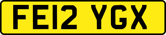 FE12YGX