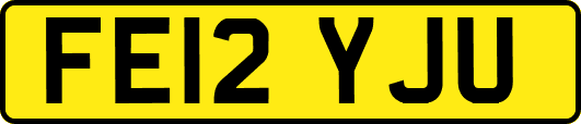 FE12YJU