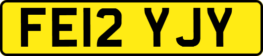 FE12YJY