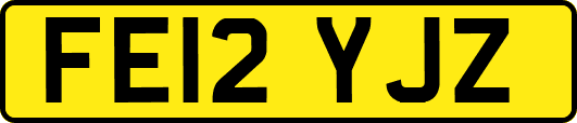 FE12YJZ