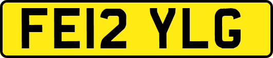 FE12YLG