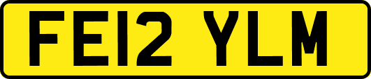 FE12YLM
