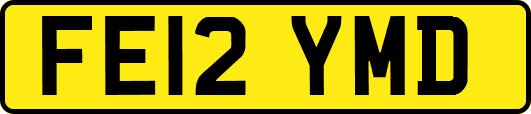 FE12YMD