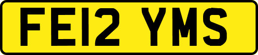 FE12YMS