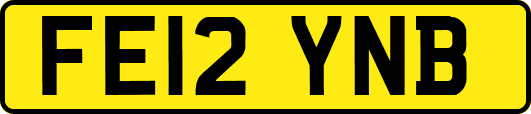 FE12YNB