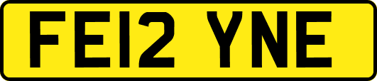 FE12YNE