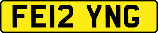 FE12YNG