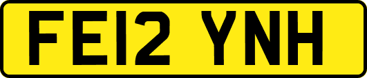 FE12YNH