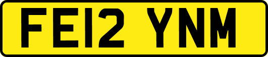 FE12YNM