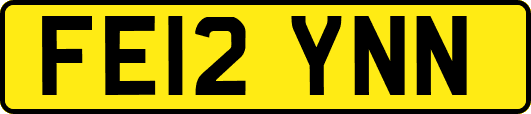 FE12YNN