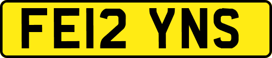 FE12YNS