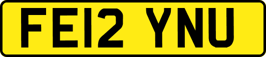 FE12YNU