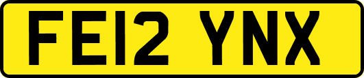 FE12YNX