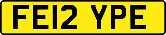 FE12YPE