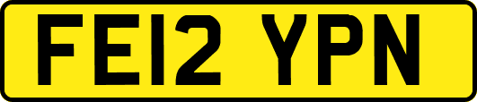 FE12YPN