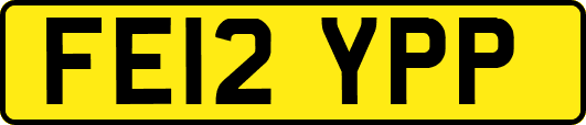 FE12YPP