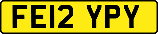 FE12YPY