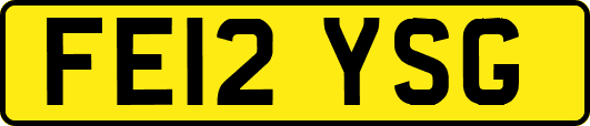 FE12YSG