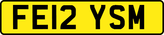 FE12YSM
