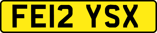 FE12YSX
