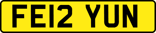 FE12YUN