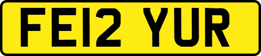 FE12YUR