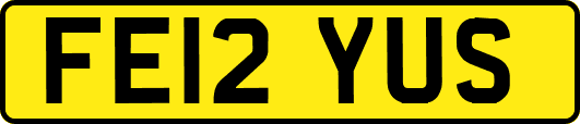 FE12YUS