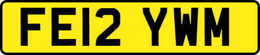 FE12YWM