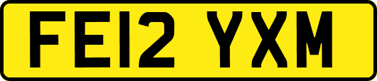 FE12YXM