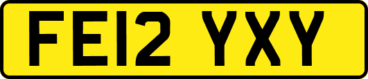 FE12YXY