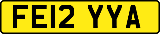 FE12YYA