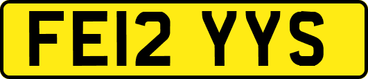 FE12YYS