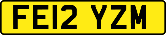FE12YZM