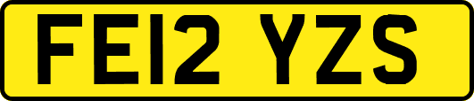 FE12YZS