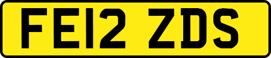 FE12ZDS
