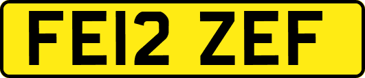 FE12ZEF