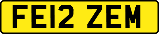 FE12ZEM