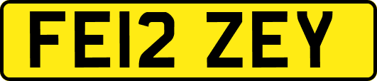 FE12ZEY