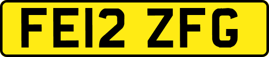 FE12ZFG