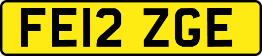 FE12ZGE