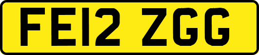 FE12ZGG