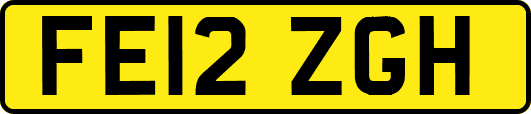 FE12ZGH