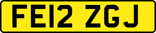 FE12ZGJ