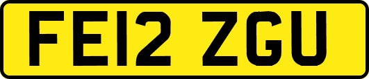 FE12ZGU
