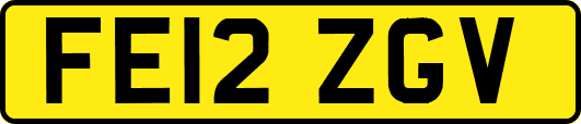 FE12ZGV