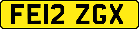FE12ZGX