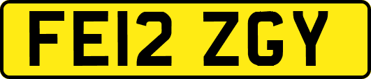 FE12ZGY