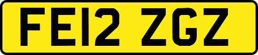 FE12ZGZ